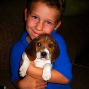 Meet your Posher, Norm